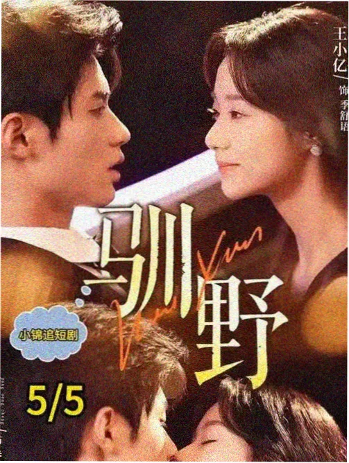 连续剧《孤星纪事》封面